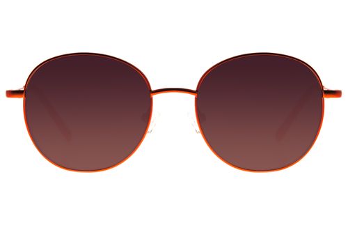 Óculos de Sol Feminino Pantone Redondo Preto