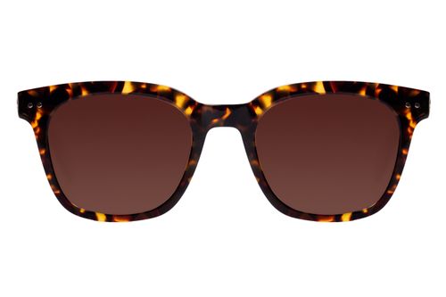 Óculos de Sol Feminino Western Quadrado Polarizado Tartaruga