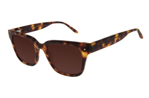 Óculos de Sol Feminino Ótica Chilli Beans Quadrado Casual Tartaruga