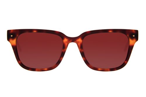 Óculos de Sol Feminino Ótica Chilli Beans Quadrado Casual Tartaruga