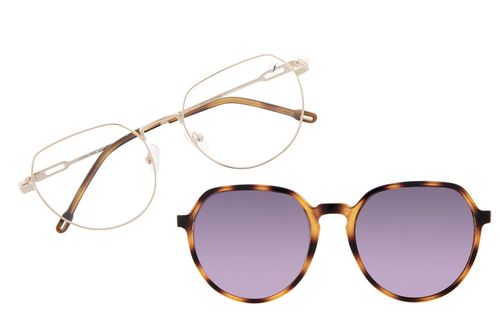 Armação Para Óculos de Grau Feminino Chilli Beans Multi Polarizado Dourado