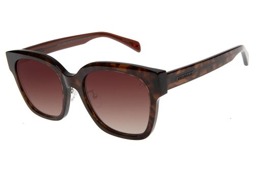 Óculos de Sol Feminino Kopenhagen Cherry Brandy Marrom Escuro