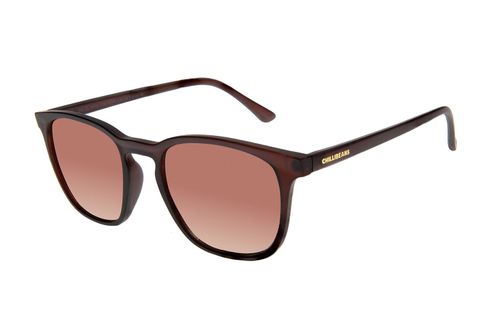 Óculos de Sol Feminino Chilli Beans Clássico Degradê Marrom