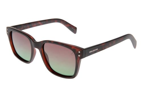 Óculos de Sol Masculino Eco Chilli Bossa Nova Tartaruga Polarizado